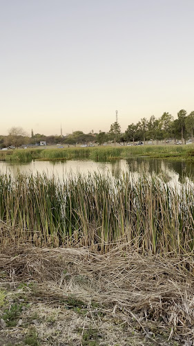 Tom Naude Park