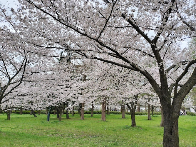 Toneri Park