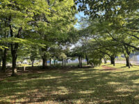 Toneri Park Travel Forum Reviews