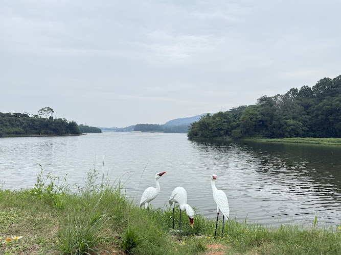 Tongsha Ecological Park