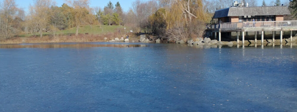Toogood Pond Park Travel Forum Reviews