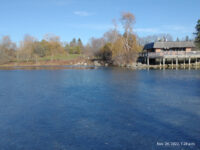 Toogood Pond Park Travel Forum Reviews