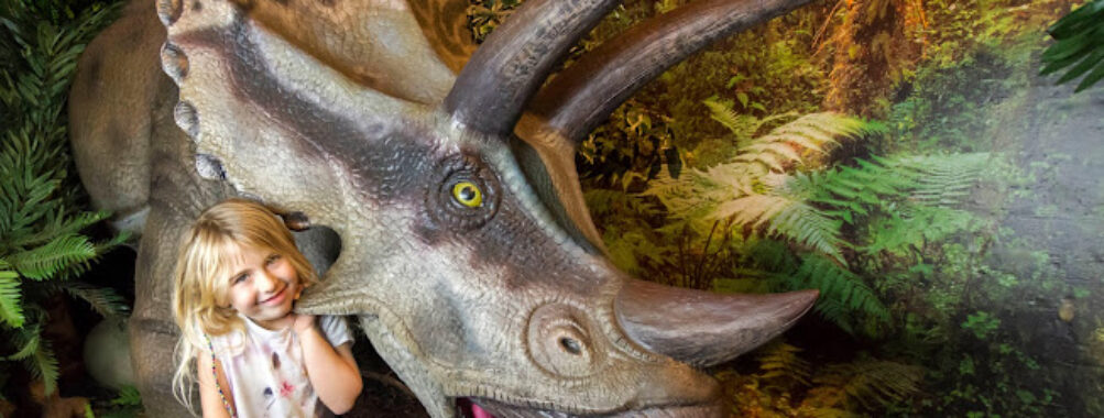 Torquay's Dinosaur World Travel Forum Reviews