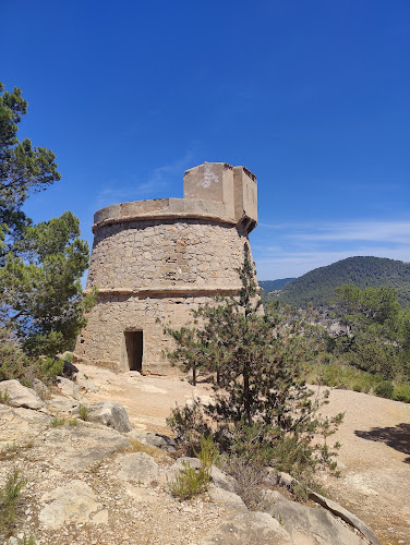 Torre des Molar