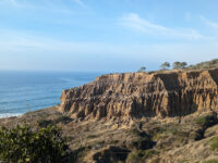 Torrey Pines State Natural Reserve Travel Forum Reviews