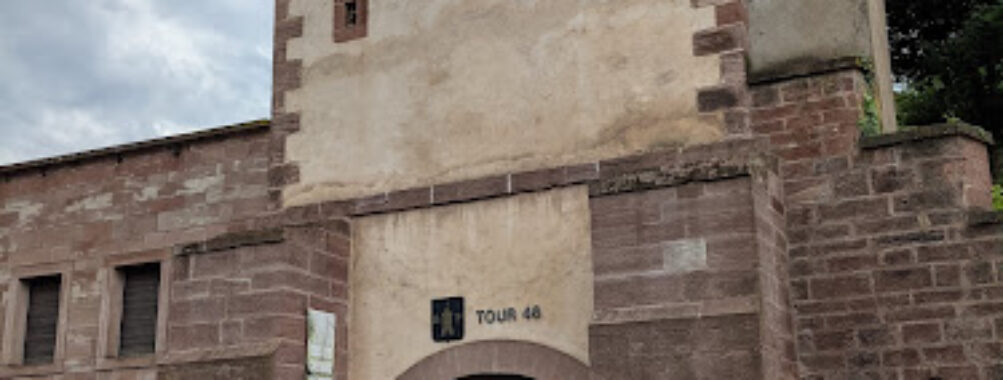Tour 46 Travel Forum Reviews