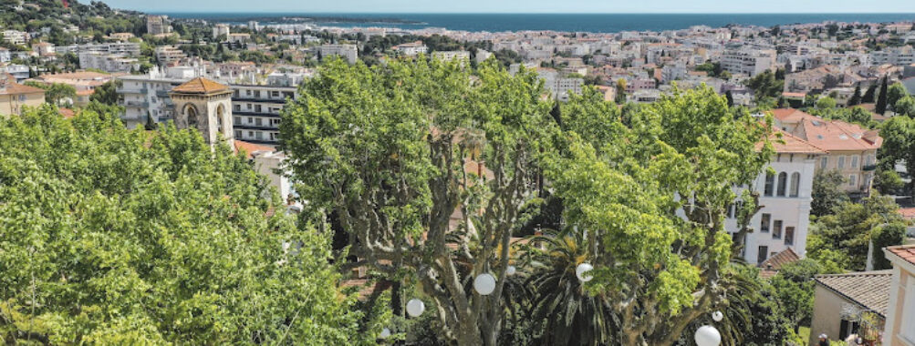 Tourist Information Le Cannet French Riviera Travel Forum Reviews