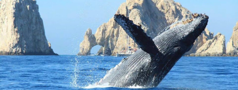 Tours R Fun Travel Forum Reviews