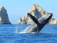 Tours R Fun Travel Forum Reviews