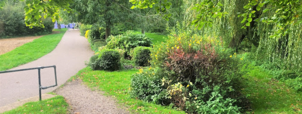 Town Park Sworder's Field Travel Forum Reviews