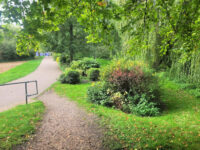Town Park Sworder's Field Travel Forum Reviews