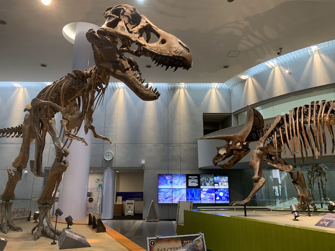 Toyohashi Museum of Natural History