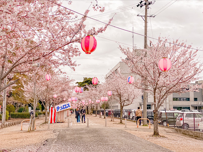 Toyokawa Park
