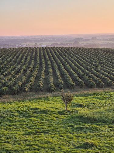 Tozan Farm in Brazil