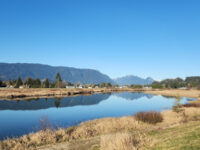 Traboulay PoCo Trail Travel Forum Reviews