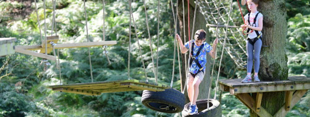 Trafford Treetop Adventures Travel Forum Reviews