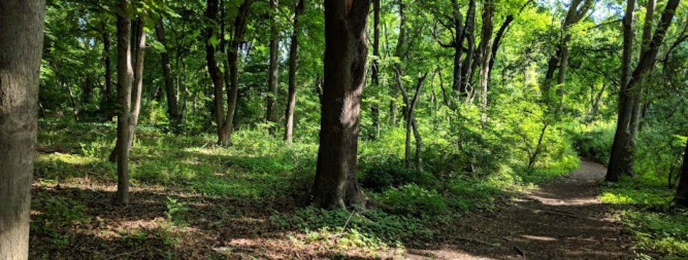Trail View State Park Travel Forum Reviews