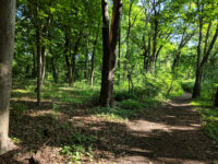 Trail View State Park Travel Forum Reviews