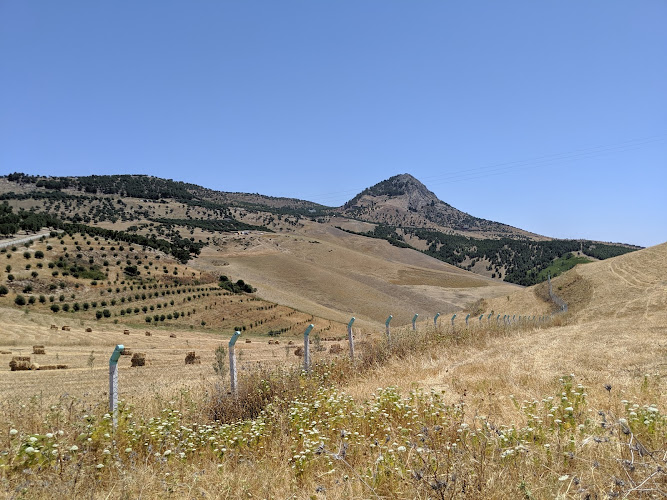 Trail to Hike Jbel (Mount) Zalagh
