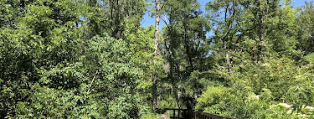 Tree Hill Nature Center Travel Forum Reviews