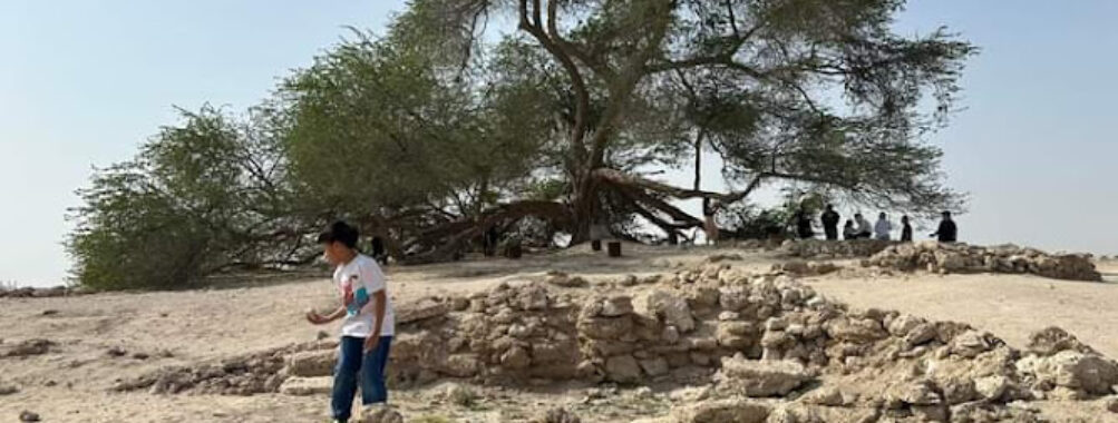 Tree of Life Bahrain Travel Forum Reviews