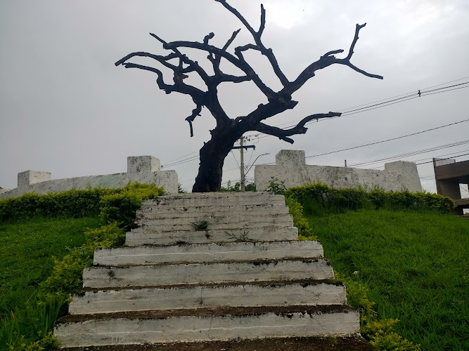 Tree of the Hanged