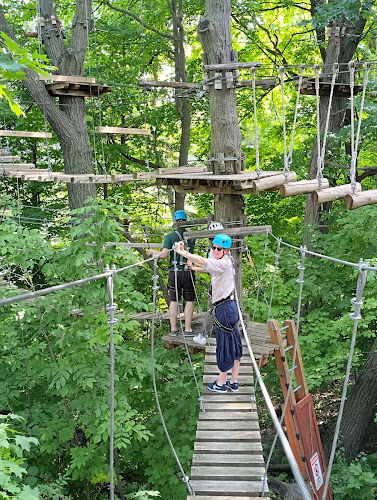 Treetop Trekking Brampton