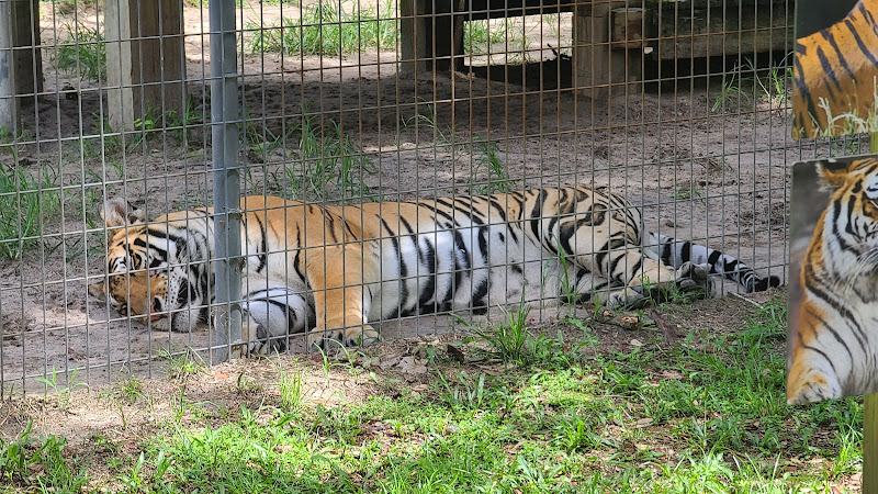 Tregembo Animal Park