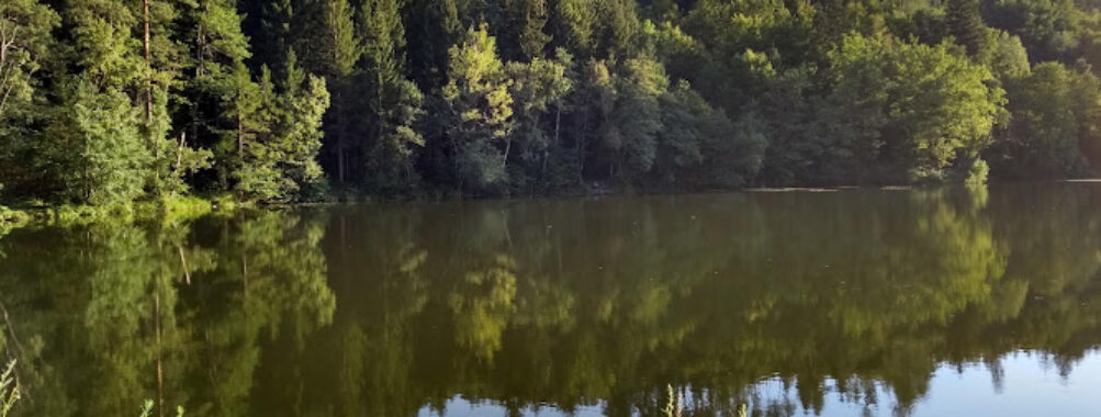 Treimischer Teiche Travel Forum Reviews