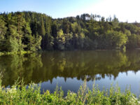 Treimischer Teiche Travel Forum Reviews