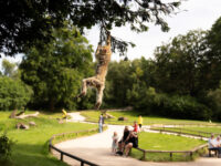 Trentham Monkey Forest Travel Forum Reviews