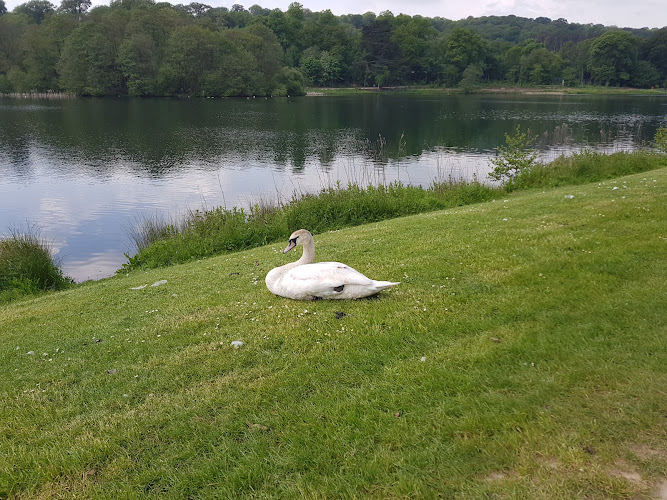 Trentham Park
