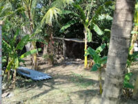 Tres Zapotes Travel Forum Reviews