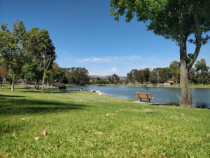 Tri-City Park