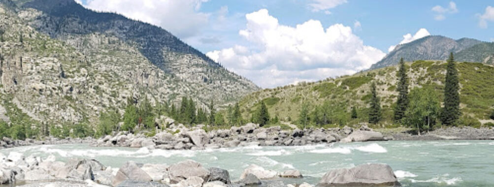 Trofei Altaya Travel Forum Reviews