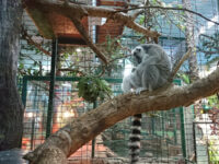Tropikpark Travel Forum Reviews