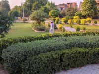 Trust Colony Park Travel Forum Reviews