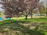 Tryon Park Travel Forum Reviews