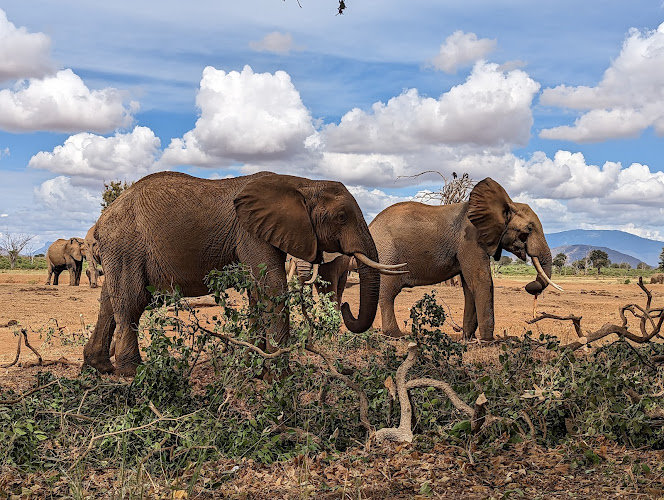 Tsavo East National Park
