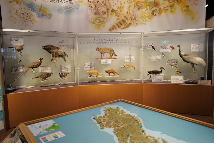Tsushima Wildlife Conservation Center