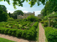 Tudor Place Travel Forum Reviews