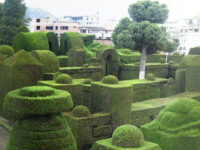 Tulcan Travel Forum Reviews