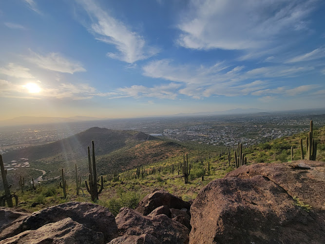 Tumamoc Hill Rd