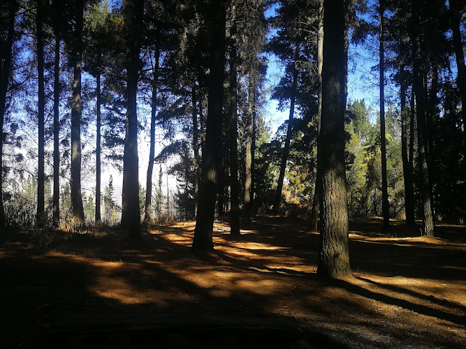 Tunari Park