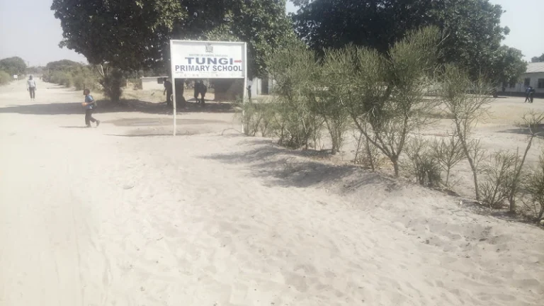 Tungi Basic School