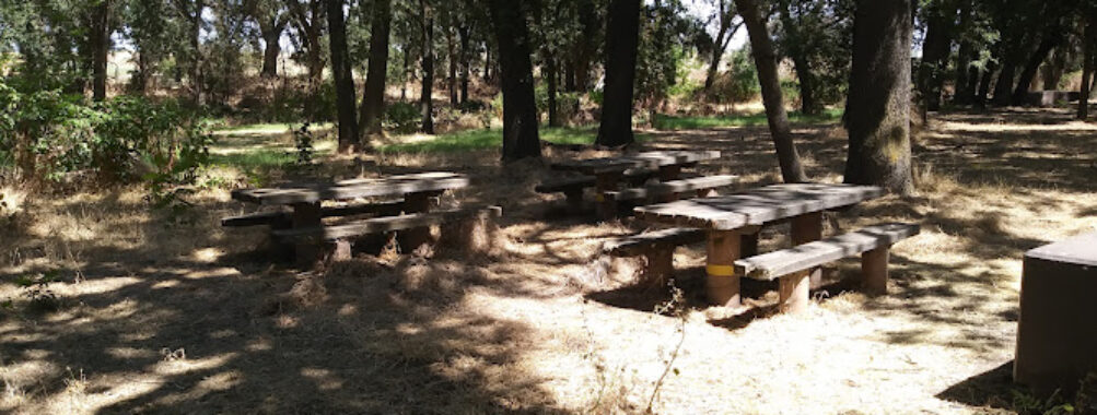 Tuolumne River Regional Park Travel Forum Reviews