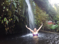 Turismo Villarrica Lake Travel Forum Reviews