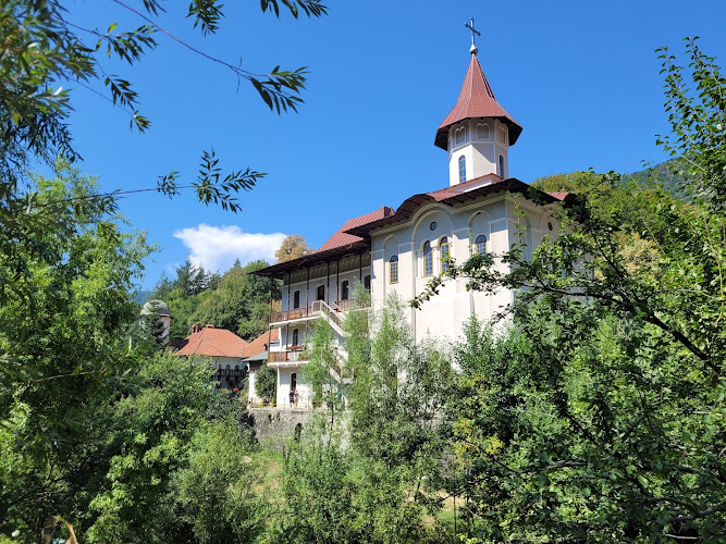 Turnu Monastery