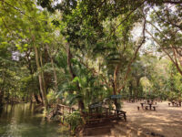 Tutulliha Travel Forum Reviews