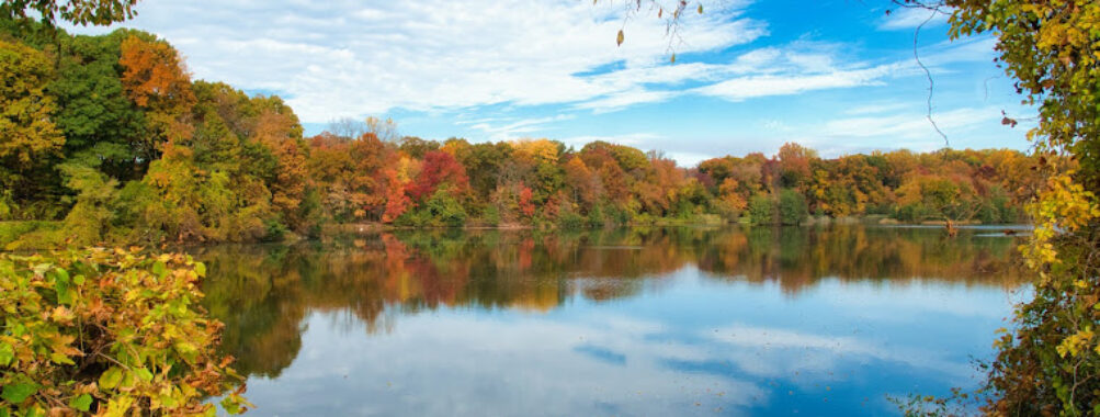 Twin Lakes County Park Travel Forum Reviews